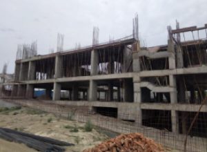 New Project (2)